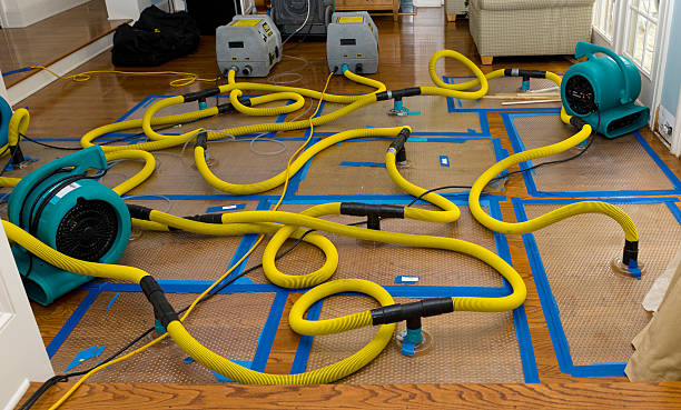 Professional Structural Drying And Dehumidification technician working in Huron, SD